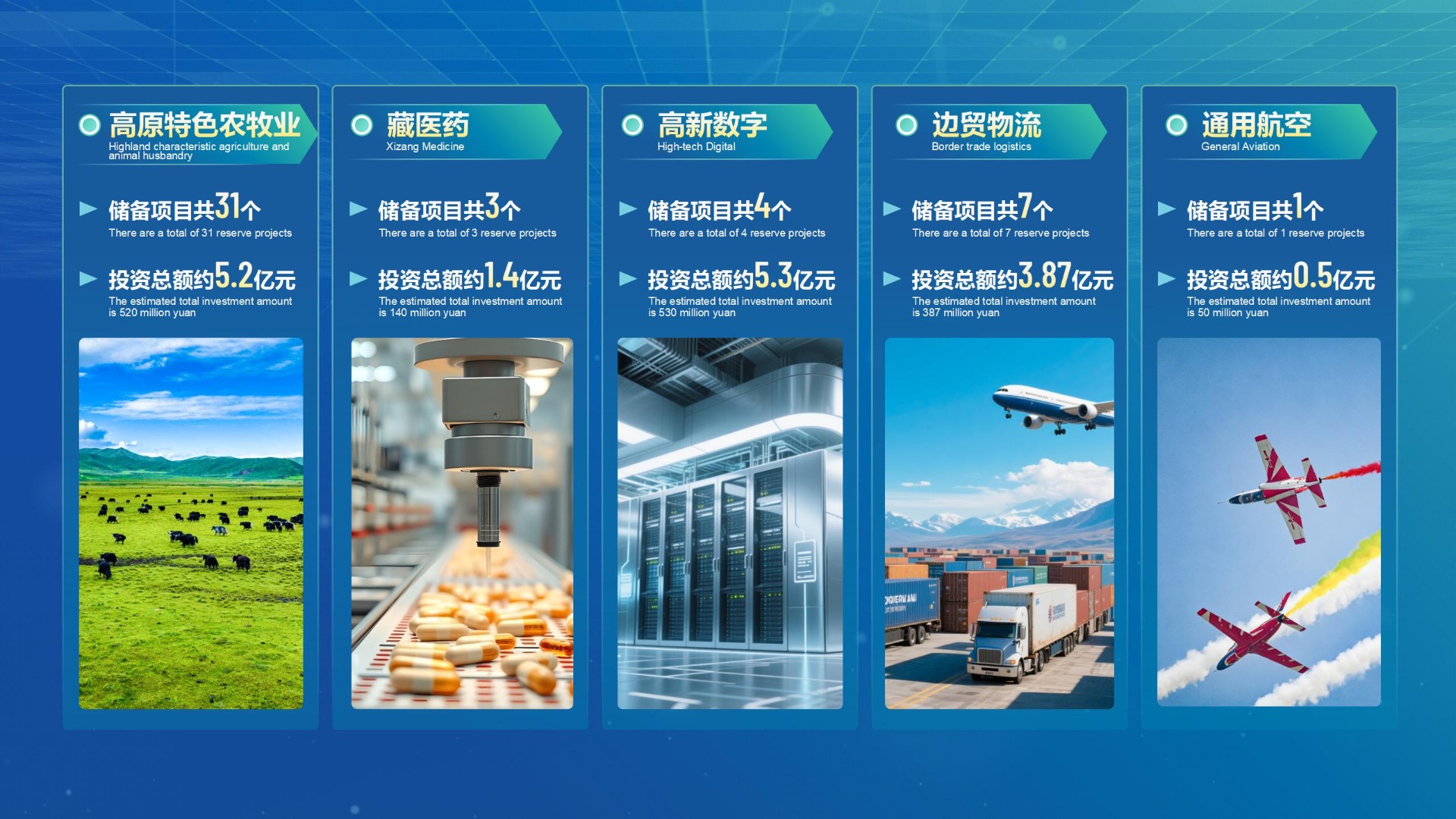 中国产业转移发展对接活动（西藏）
