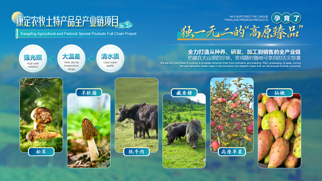 浙川携手高质量发展分享会（康定）推介