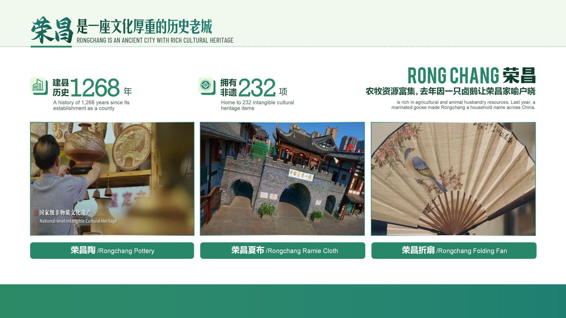 荣昌农业粮食体系“同一健康”论坛